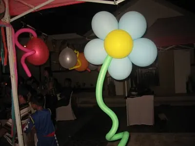 8535 135011046626 728306626 2971348 7911481 n — Balloon Entrance For Birthdays event in Hyderabad by Events by AJ