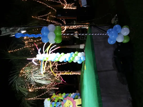 20140215 070927 — Balloon Entrance For Birthdays event in Hyderabad by Events by AJ